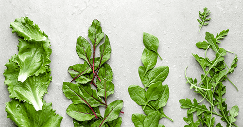 Top 9 Cheapest and Healthiest Green Veggies