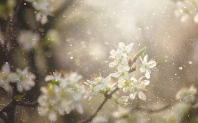 What’s the Truth About Allergies?