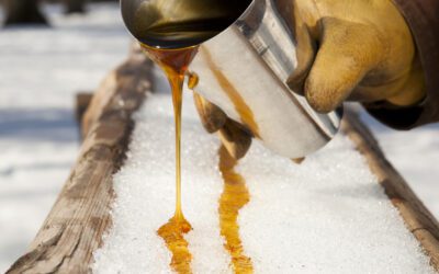 Maine Maple Sunday Weekend 2026