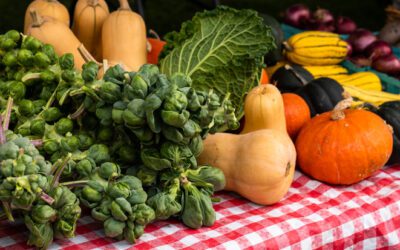Farm Fresh, Local, and Healthy: Eating Well in Harvest Season