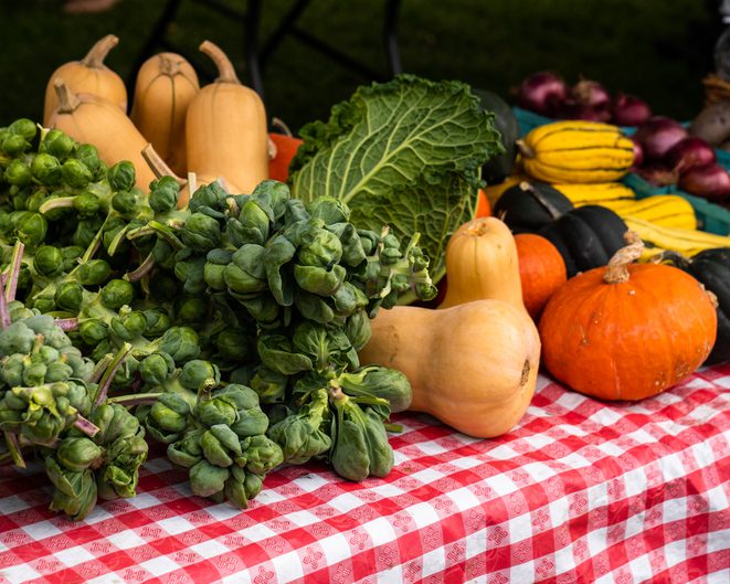 Farm Fresh, Local, and Healthy: Eating Well in Harvest Season